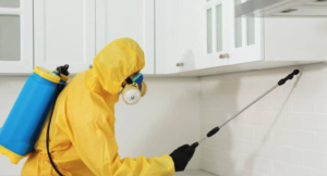 pest control services near me 