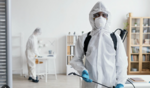 pest control services syracuse